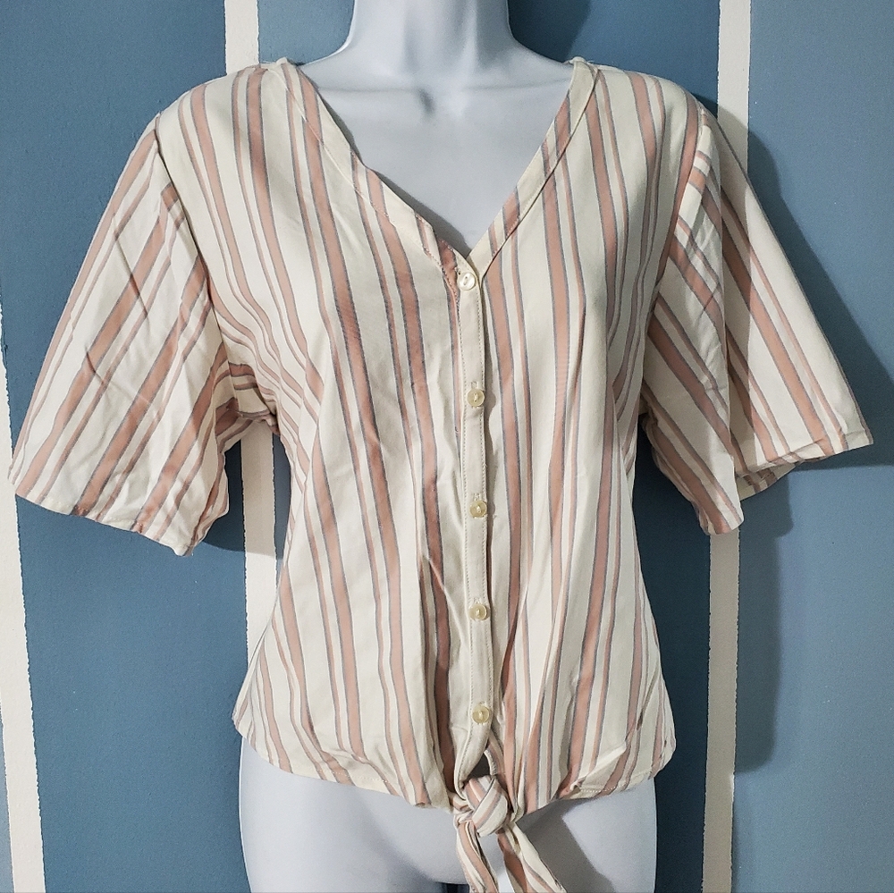 Passport Cream and Tan Striped Blouse